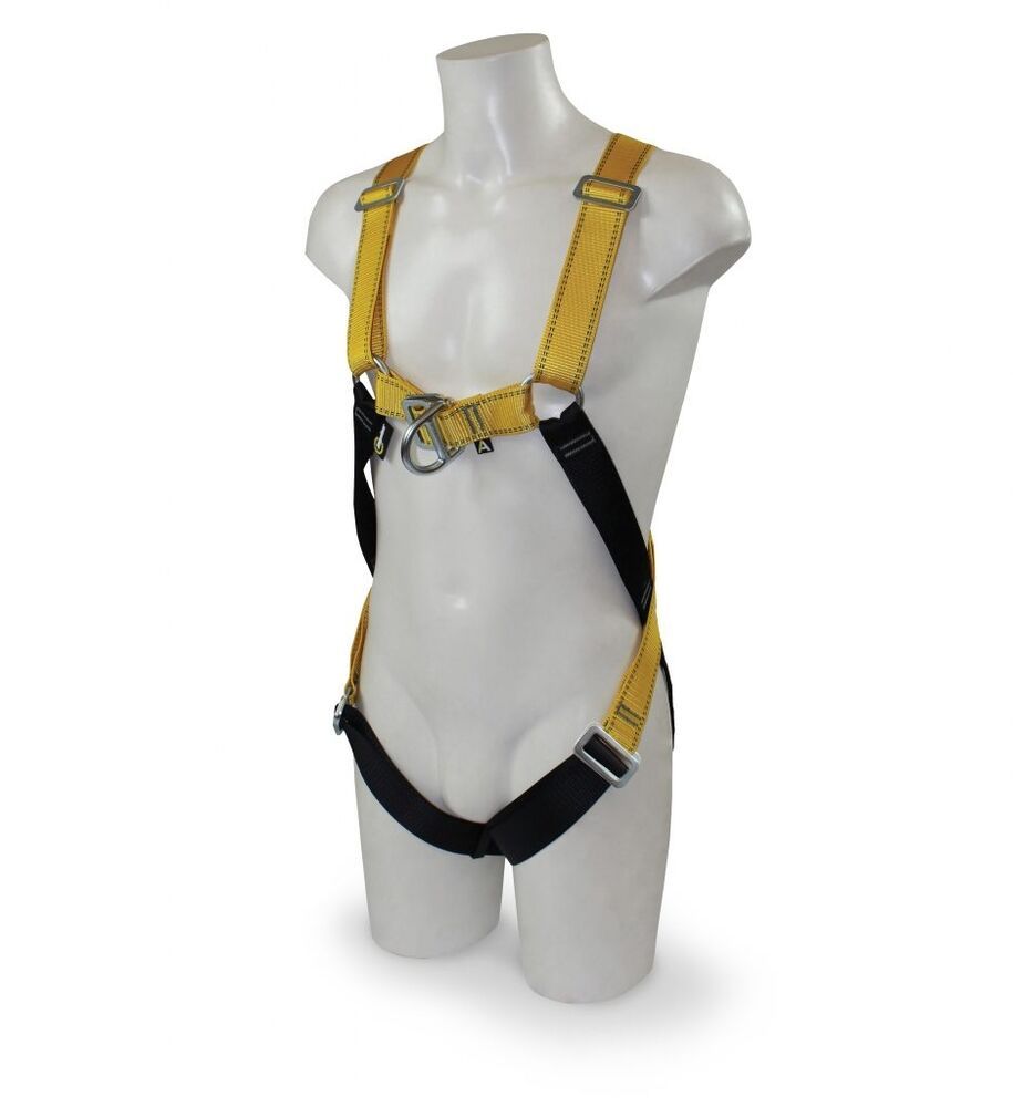 Front & Rear D Harness